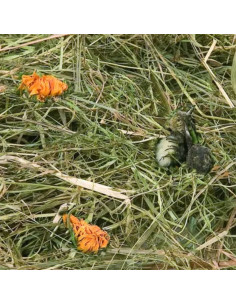 Планинско сено за гризачи Flamingo Mountain hay Dandelion с глухарче 0.500 кг. 2