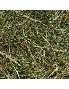 Планинско сено за зайци Flamingo Mountain hay Mint с мента 0.500 кг. 2