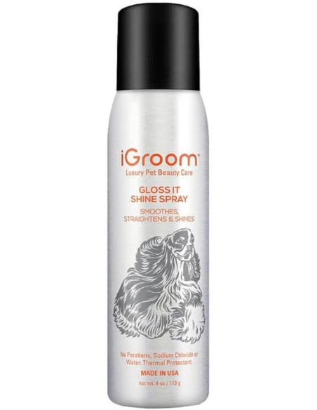 Gloss It Shine Aerosol Spray - Завършващ спрей/лак, който олекотява и изправя косъма,придавайки страхотен блясък и безупречен