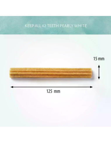 Antos Cerea Eurostar Small дентални пръчици 12.5 см, 448 г / 28 бр кутия