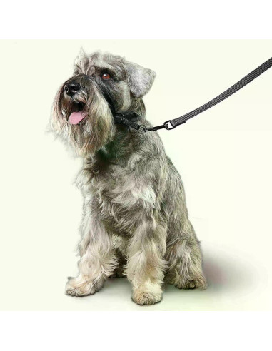 Beaphar Gentle Leader повод срещу дърпане за куче, черен, дребни породи