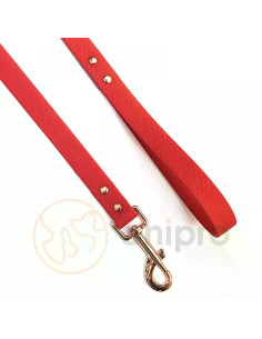 anipro Hexagon повод лента хексагон 20мм/120см червен с карабинка розово злато 2