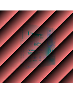 Lindo Cat Advanced Carbon+Micro котешка постелка, 6 л