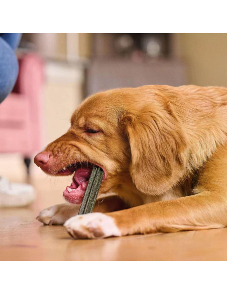 Beaphar Dental Sticks Medium/Large - дентални пръчки за кучета от средни и едри породи