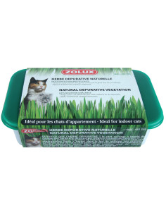 Котешка трева Zolux CATNIP, в помощ на храносмилателната система 1 бр.