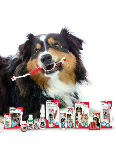 Beaphar паста за зъби против кариес, плака и за свеж дъх