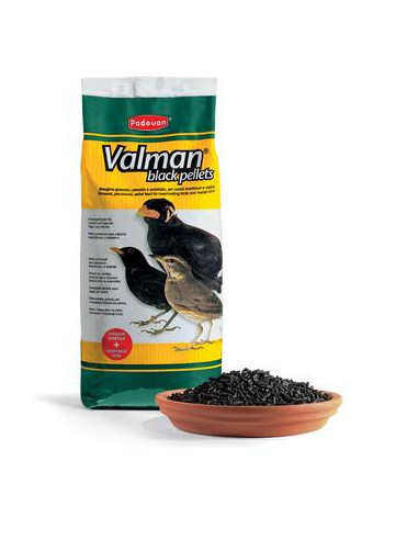 Храна за насекомоядни птици.