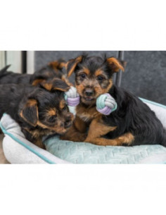 Въжена играчка Trixie Junior Dumbbell гиричка, подходяща за малки кученца