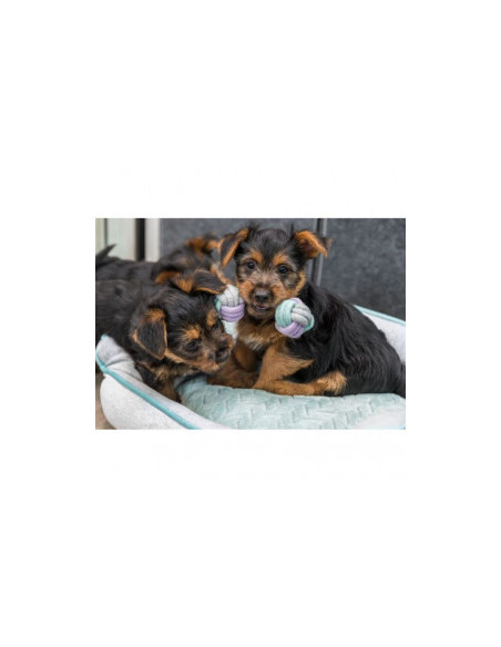 Въжена играчка Trixie Junior Dumbbell гиричка, подходяща за малки кученца