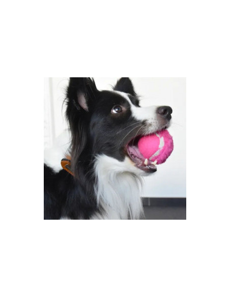 Забавна тенис топка Flamingo Tennis ball за куче