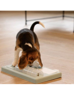 Интерактивна играчка за кучета Beeztees Braingame Riff