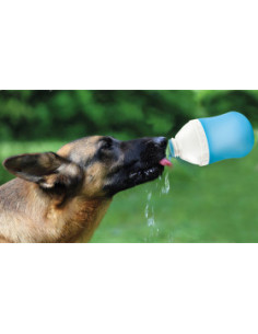 2в1 Бутилка + купичка за храна и вода Record 400 мл.