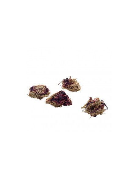 Snack Bits Hibiscus- влакнести топки, за гризане с хибискус и моркови