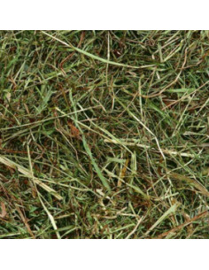 Планинско сено за зайци Flamingo Mountain hay Mint с мента