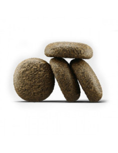 JOSERA Salmon and Potato Храна за израснали кучета със сьомга и картоф 15кг