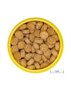 JBL PRONOVO CRABS WAFER M 100ml - Осн. гранулирана храна за скариди и коралови скариди от 1-20cm