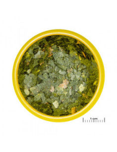 JBL PRONOVO GUPPY FLAKES S 250mll- Осн. храна размер S за гупи и други живораждащи риби с дължина 3 – 10 cm (люспи)