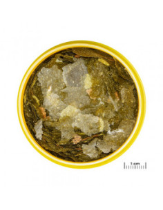 JBL PRONOVO MALAWI FLAKES M 250ml - Осн. храна на люспи за цихлиди с дължина 8 - 20 см