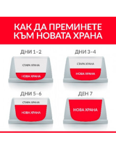 Hills Science Plan Oral Care Adult с пилешко – Суха храна за подобряване на устната хигиена при кучета над 1 година: 12кг + п