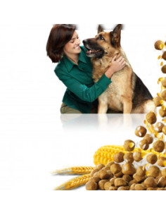 Суха храна Brekkies Complet с пиле и ориз - за кучета средни и големи породи над 1 година