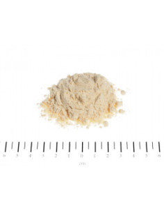 Сухо мляко за малки кученца Ebi-Vet Aufbrau Milch 400 гр. - за подпомагане на растежа, ставите и жизнеността на кученцата