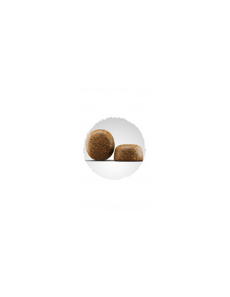 JOSERA Daily Large Breed Храна с птиче месо и сьомга и птиче за пораснали кучета от големи породи без глутен 12.5кг.