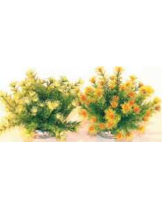 Растение Marina Bowl 21см от Sydeco, Франция