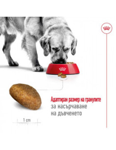 Суха храна за кучета Royal Canin MAXI ADULT