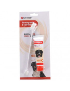 Паста за зъби + четка - Flamingo DAFRA 85гр