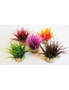 Растение Magic Nano Moss 8см от Sydeco, Франция