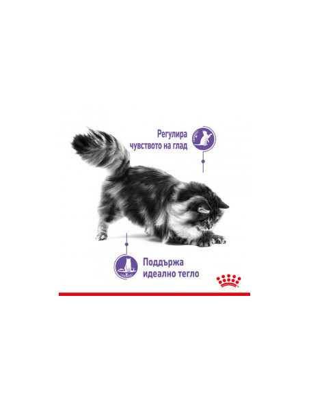 Royal Canin Appetite Control - пауч за котки в зряла възраст за спомагане на контролиране поведението на просене