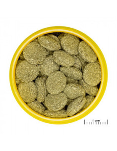 JBL PRONOVO PLECO WAFER M 100ml -Осн, храна таблетки за тревопасни сомове 1–20 см