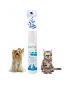 Biogance Dentifresh Спрей за почистване на зъбите 100 мл