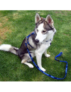 Rogz Beach Bum Повод за кучета с дължина 1.4 м и ширина на ремъка 20 мм в червен цвят