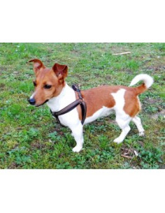 Нагръдник за куче Miazoo Exclusive черно/червено 15мм.