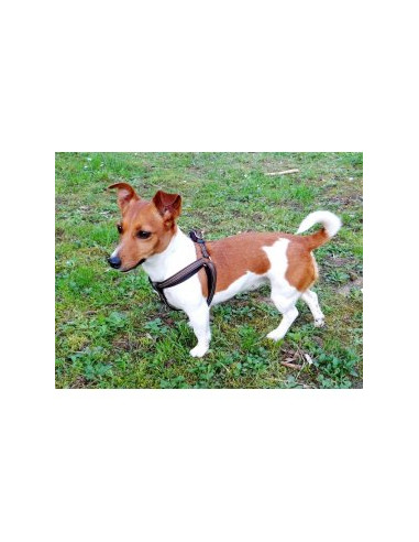 Нагръдник за куче Miazoo Exclusive черно/синьо 15мм.