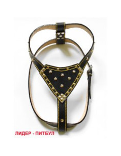 Нагръдник Лидер за Питбул черен