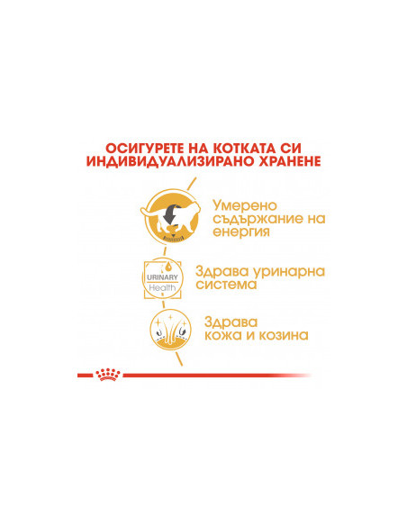 Суха храна за котки Royal Canin BRITISH SHORTHAIR adult