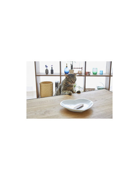Натурално лакомство за котки Ciao Cat Treats Grilled Tuna Fillet in Shrimp Flavoured Broth истинско филе от риба тон, залято 