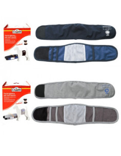 Колан-гащи за мъжки кучета XS размер Camon