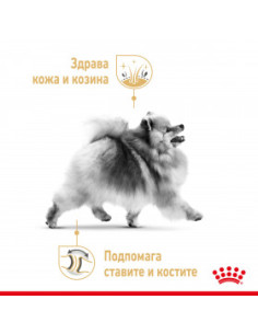 Royal Canin Pomeran Adult - Пълноценна храна за кучета в зряла възраст, порода Померан - Над 8 месеца (пастет)