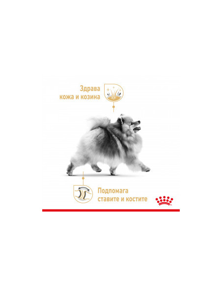 Royal Canin Pomeran Adult - Пълноценна храна за кучета в зряла възраст, порода Померан - Над 8 месеца (пастет)
