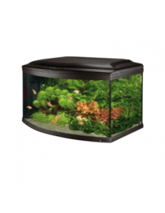 Оборудван аквариум CAYMAN 80 SCENIC BLACK 150л.