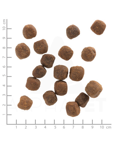 Wolfsblut Wild Duck Adult суха храна за кучета с дива патица и картофи, 2 кг