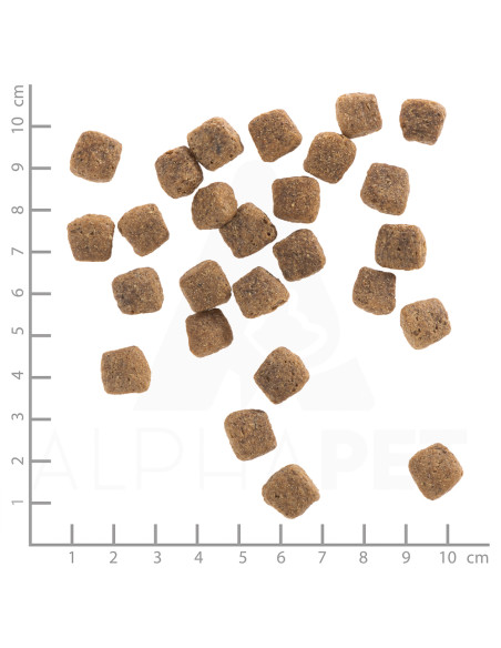 Wolfsblut Wild Duck Senior суха храна за възрастни кучета с дива патица и картофи, 2 кг