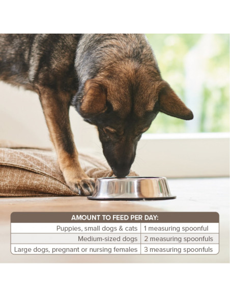 Beaphar Bone Builder – хранителна добавка за кучета и котки, с калций и фосфор, 500 г