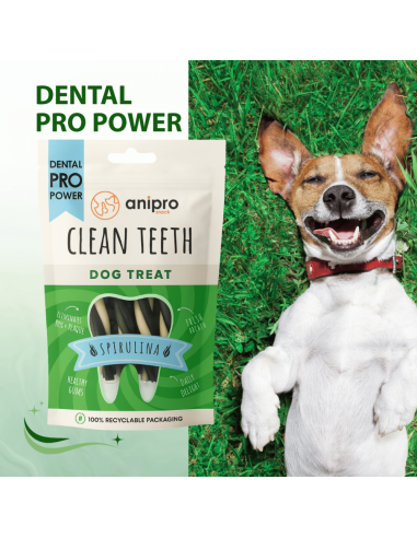 anipro Dental Pro Power усукани солети трицветни със спирулина, 84 г, зелен чай