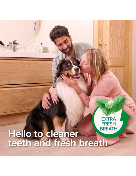 Beaphar паста за зъби за кучета и котки с вкус на черен дроб, мента и магданоз, 100 г