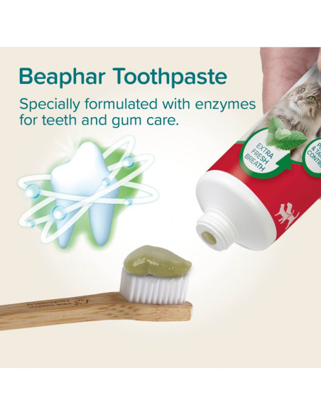 Beaphar паста за зъби за кучета и котки с вкус на черен дроб, мента и магданоз, 100 г