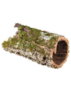 Естествен дървен тунел за гризачи